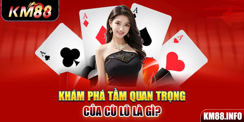 Khám phá tầm quan trọng của cù lũ là gì? 