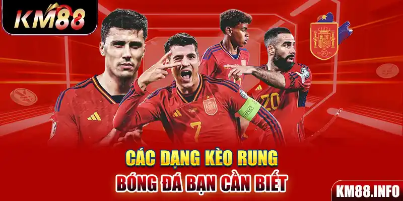 Các dạng kèo rung bóng đá bạn cần biết