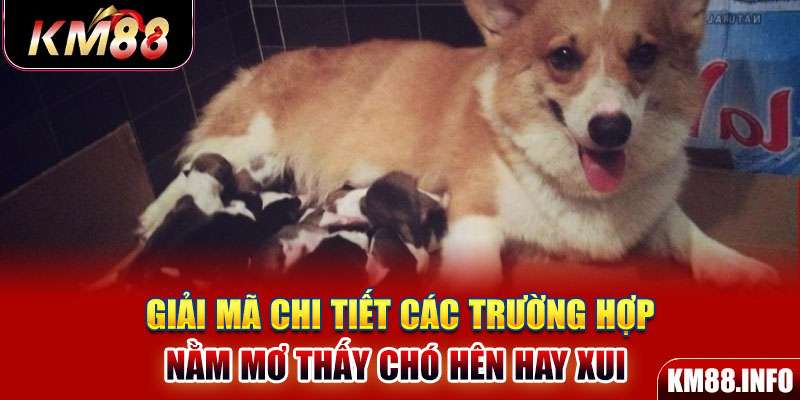 Giải mã chi tiết các trường hợp nằm mơ thấy chó hên hay xui