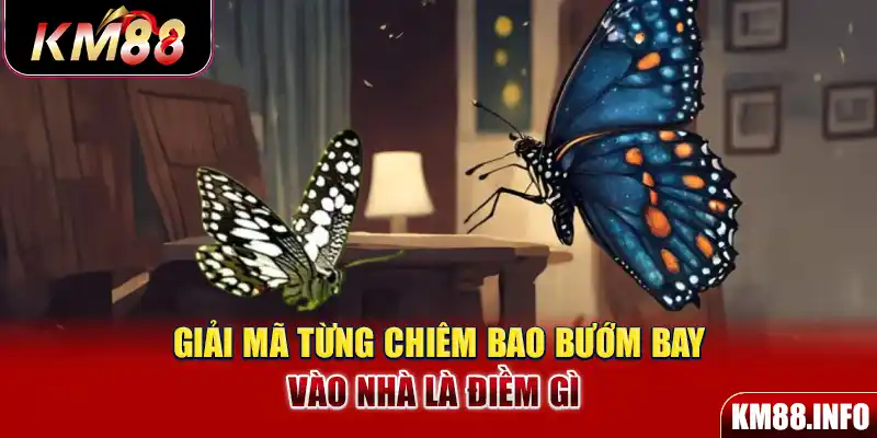 Giải mã từng chiêm bao bướm bay vào nhà là điềm gì