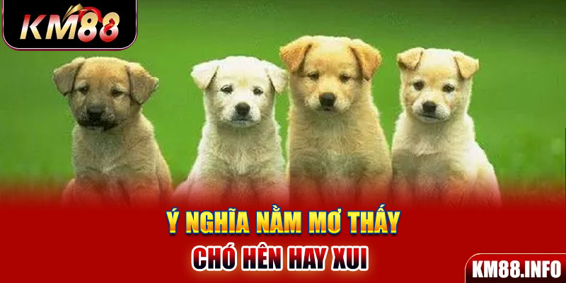 Ý nghĩa nằm mơ thấy chó hên hay xui 